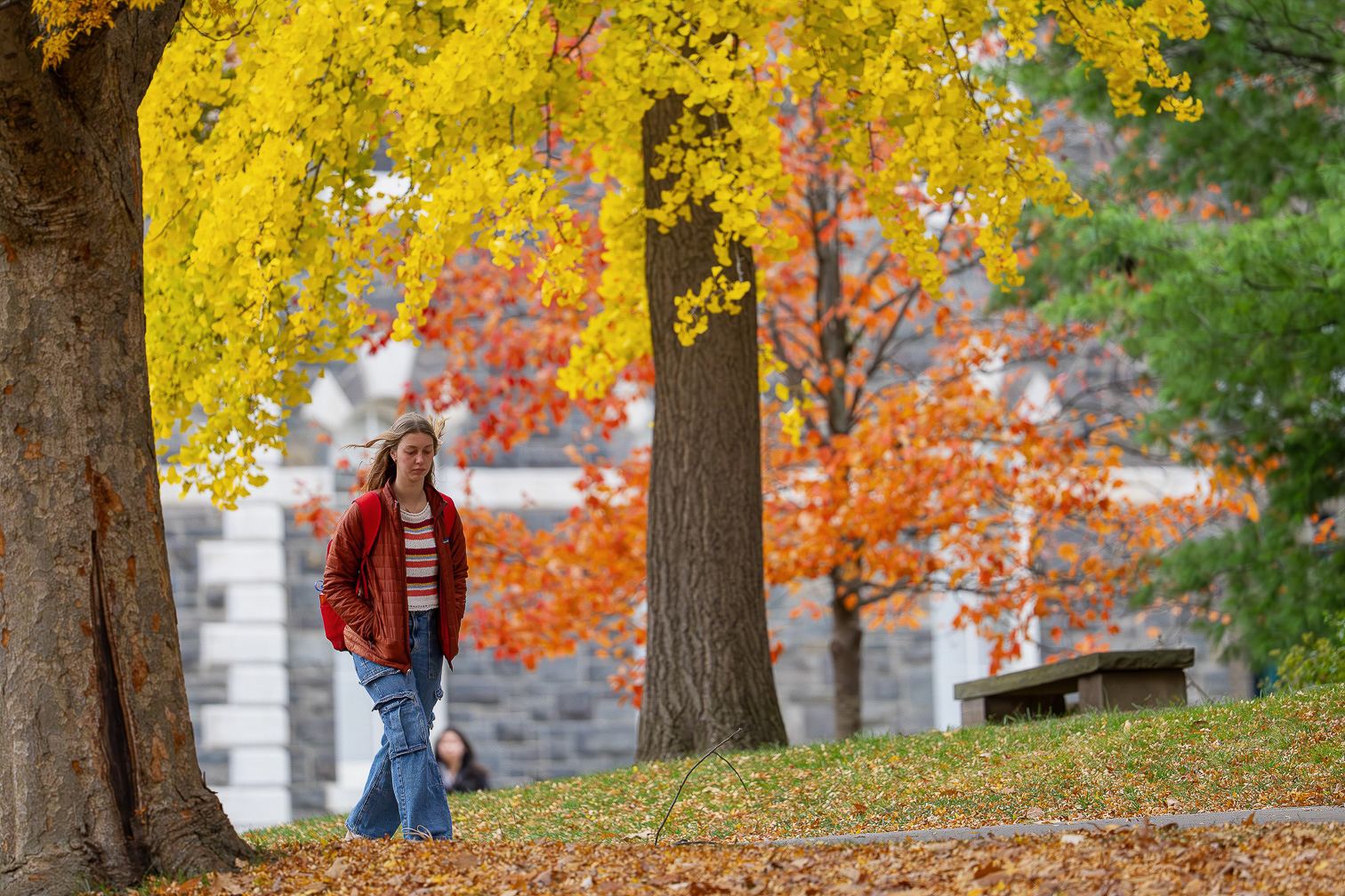 Brilliant Fall